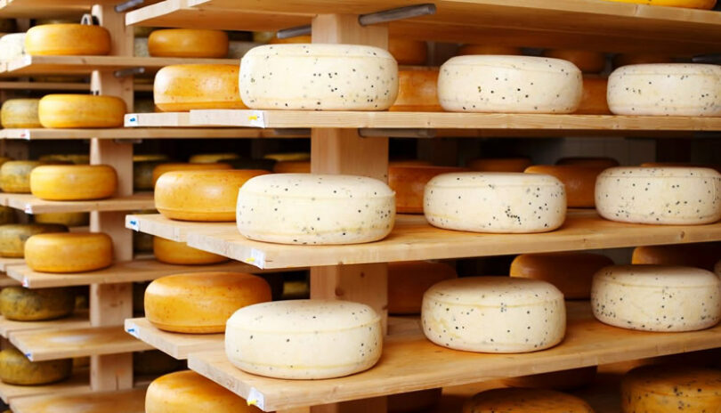 Exportación de quesos chilenos se incremento en un 37% este 2019