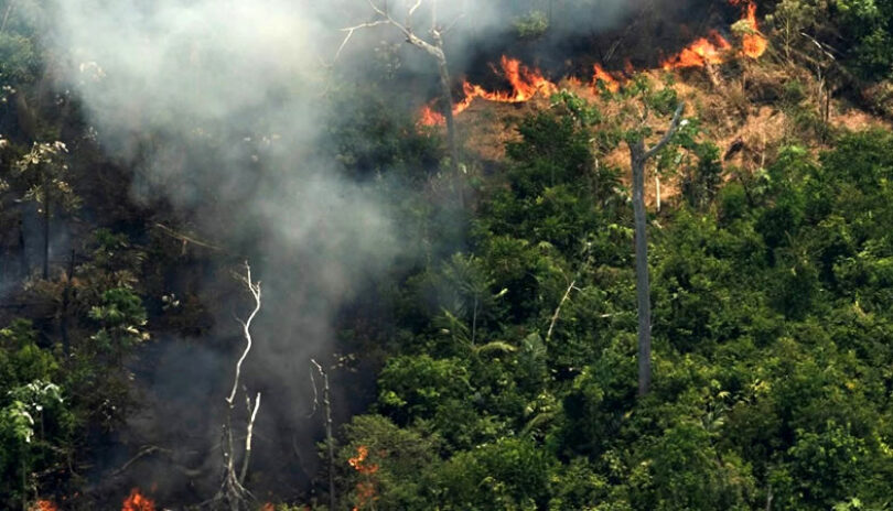 Brasil aceptará la ayuda del G7 para combatir los incendios en la Amazonía