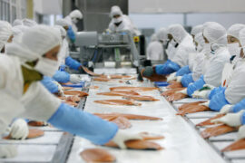 Aumentan exportaciones de productos pesqueros chilenos, tres países son los principales destinos