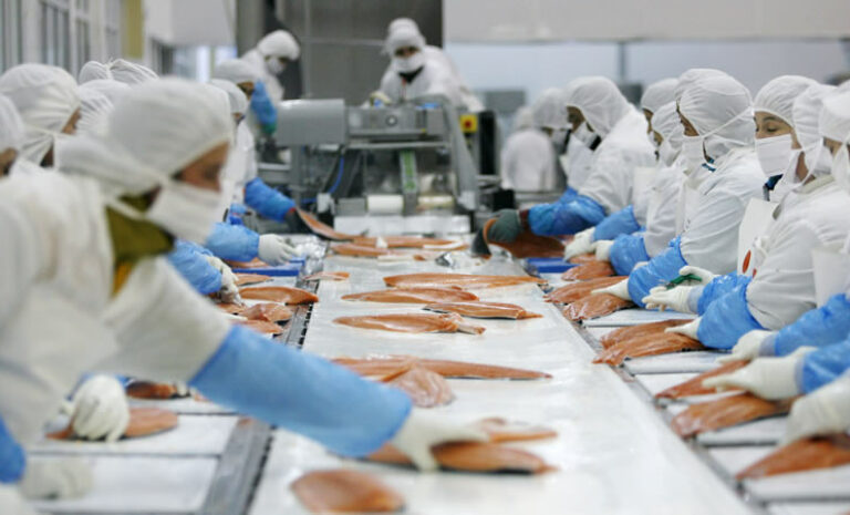 Aumentan exportaciones de productos pesqueros chilenos, tres países son los principales destinos