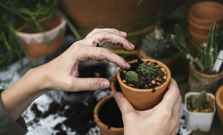 Ecommerce: El consumo de productos sustentables continúa al alza