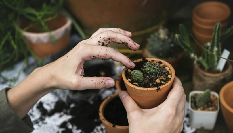 Ecommerce: El consumo de productos sustentables continúa al alza