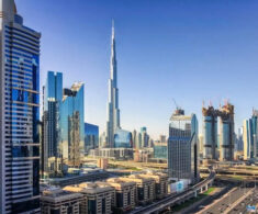 Emiratos Árabes Unidos se perfila como nuevo mercado para las carnes rojas chilenas