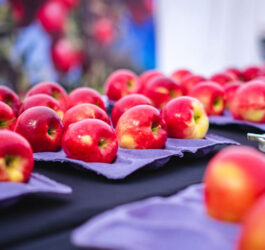 Chile fortalece el comercio con Brasil con certificación electrónica de productos agrícolas y forestales