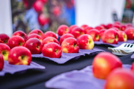 Chile fortalece el comercio con Brasil con certificación electrónica de productos agrícolas y forestales
