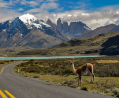 Chile se posiciona como Mejor Destino Internacional en premios Forbes, superando a Japón y Portugal