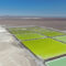 SQM fortalece sus resultados trimestrales y Nova Andino anuncia plan de inversión por US$3.000M