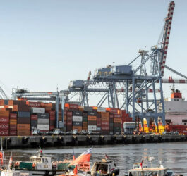 Exportaciones chilenas alcanzan récord semestral de US$60.354M y envíos a India se duplican