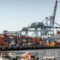 Exportaciones chilenas alcanzan récord semestral de US$60.354M y envíos a India se duplican