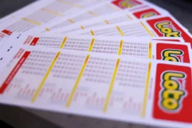 Loto del martes 29 de septiembre de 2026, resultados del sorteo 5484