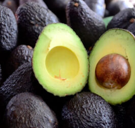 Producción de palta chilena apunta a su mejor temporada en 17 años