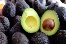 Producción de palta chilena apunta a su mejor temporada en 17 años