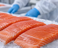 Brasil podría aplicar IVA de 26,5% al salmón chileno y preocupa a exportadores