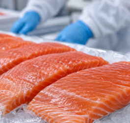 Brasil podría aplicar IVA de 26,5% al salmón chileno y preocupa a exportadores