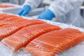 Brasil podría aplicar IVA de 26,5% al salmón chileno y preocupa a exportadores