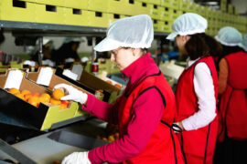 Subsidio a la Contratación: requisitos para acceder a los aportes de Sence